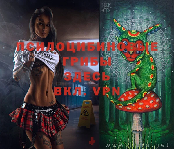кокаин Алексеевка