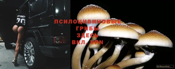 каннабис Алексин